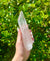 Lemurian Seed Crystal