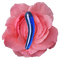 The Amrita Wand