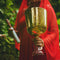Hathor ⋆ Venusian Sonic Masters ⋆ Goddess Grail