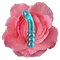 The Pleasure Lingam