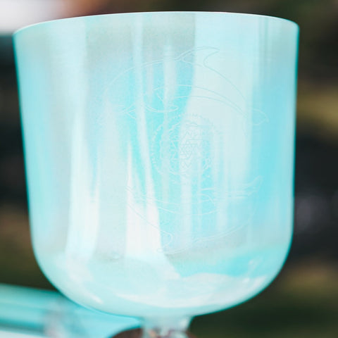 Dolphin Bliss ⋆ Awakening Sonic Abilities ⋆ Mythical Realms