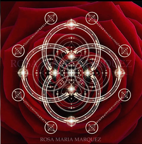 Custom Created Light Code Alchemy With Rosa-Maria Marquez and Amma Sophia Rose